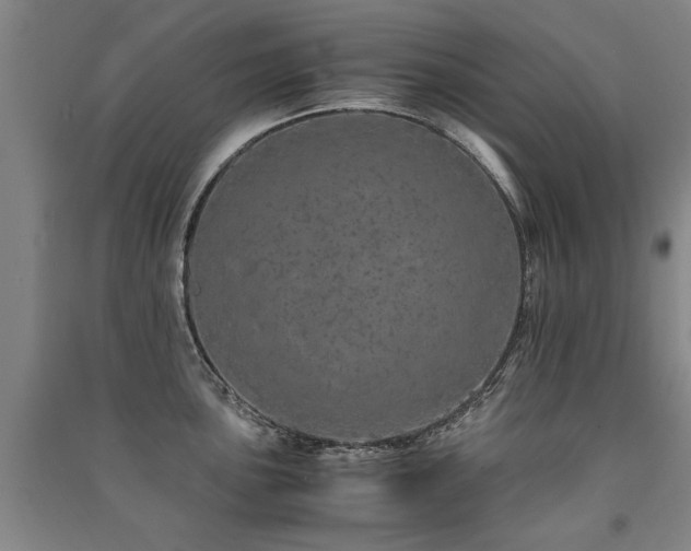 X0000091491051200708161434
