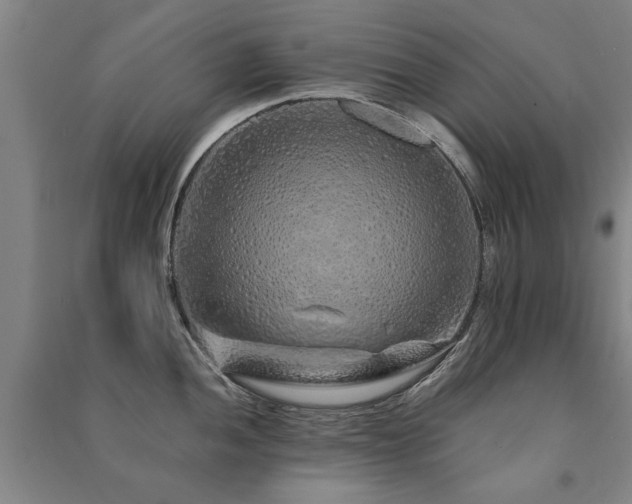 X0000091491052200708161435