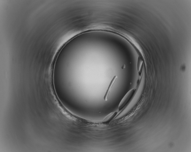 X0000091491053200708161435