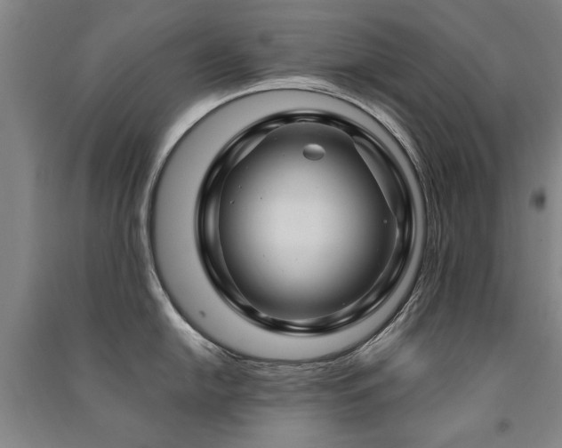 X0000091491054200708161435