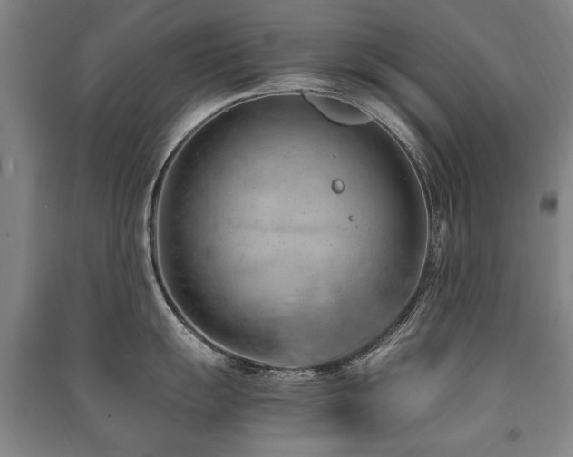 X0000091491055200708161435