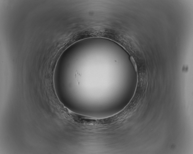 X0000091491057200708161434