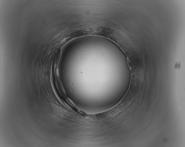 X0000091491058200708161434
