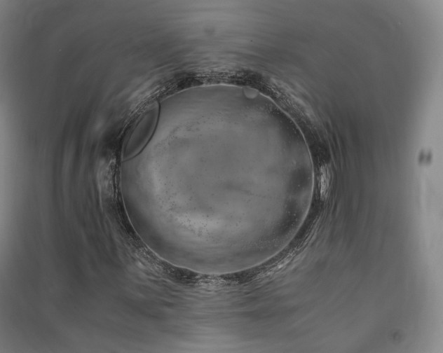 X0000091491059200708161434