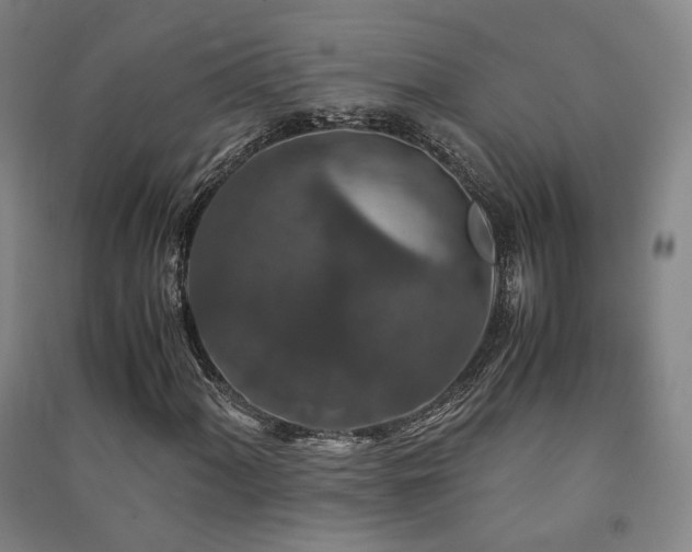 X0000091491060200708161434