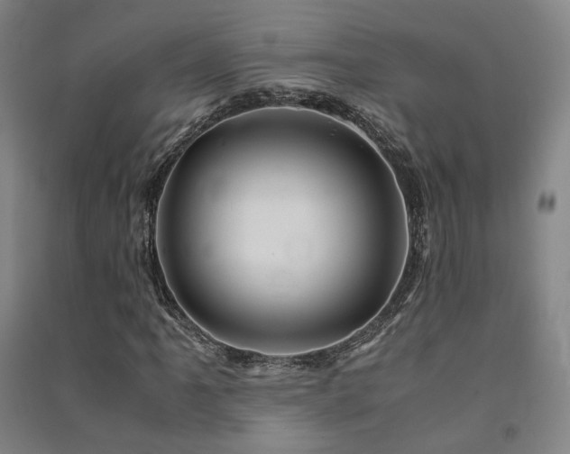 X0000091491061200708161434