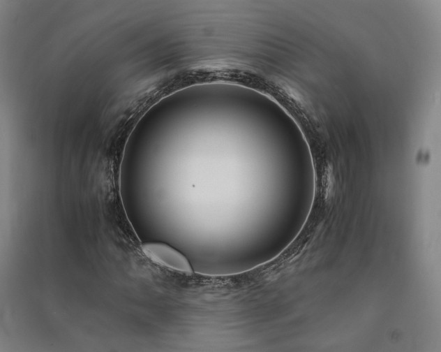 X0000091491062200708161434