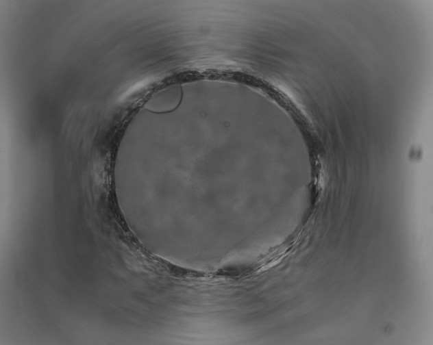X0000091491063200708161434