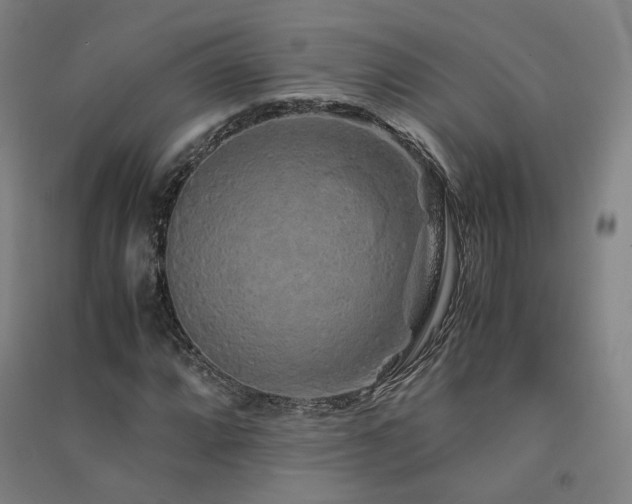 X0000091491064200708161434