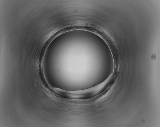 X0000091491065200708161434