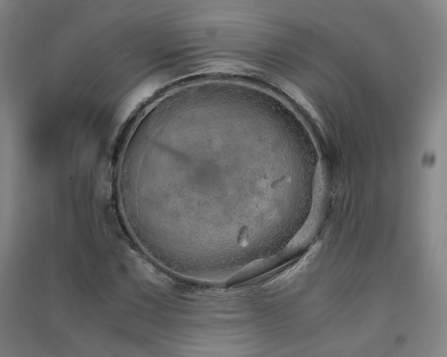 X0000091491067200708161434