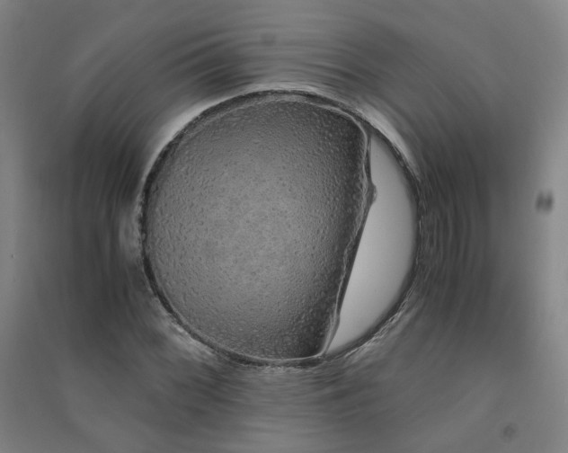 X0000091491068200708161434