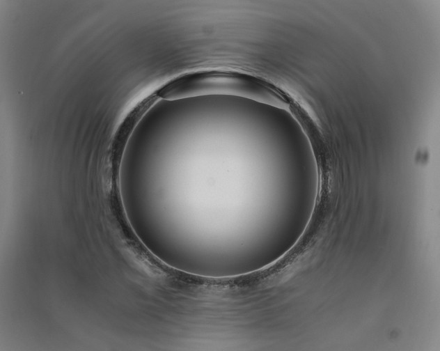 X0000091491069200708161434