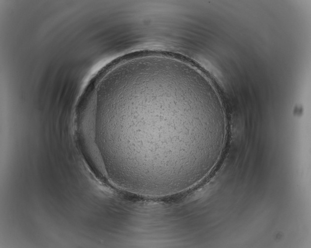 X0000091491070200708161434