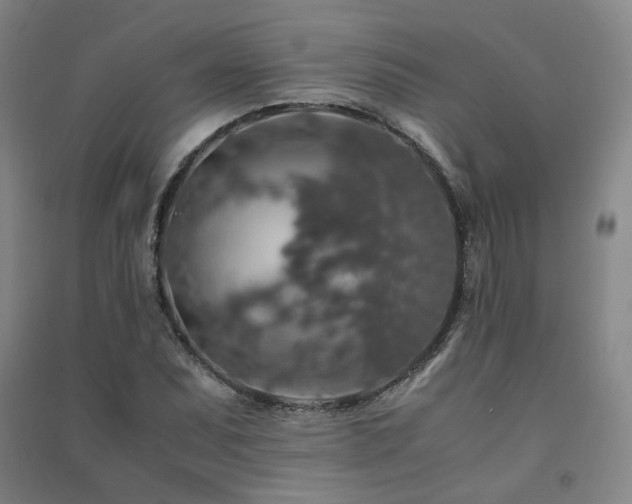 X0000091491071200708161434