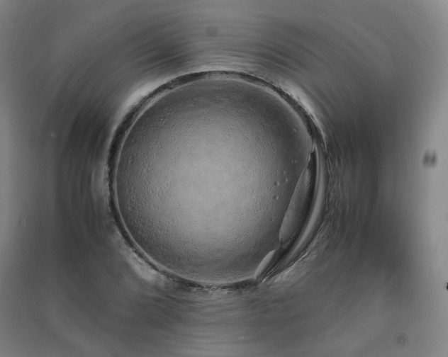 X0000091491072200708161434