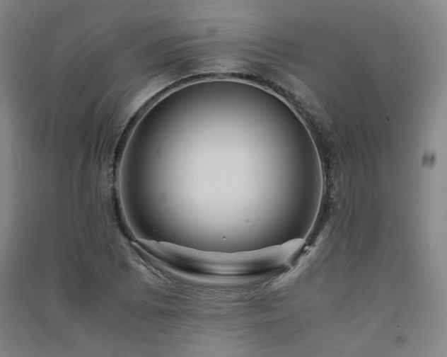 X0000091491073200708161434