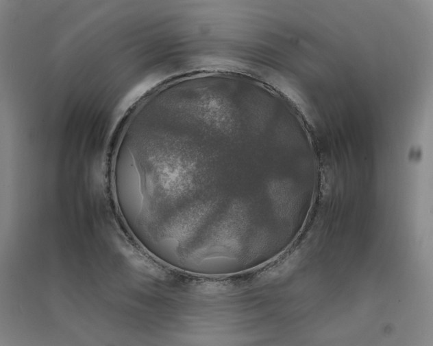 X0000091491074200708161434