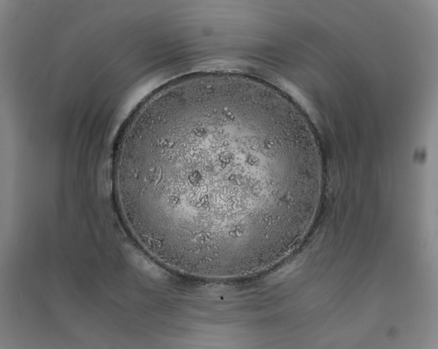 X0000091491075200708161434
