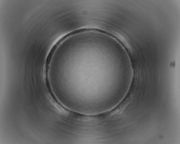 X0000091491076200708161434