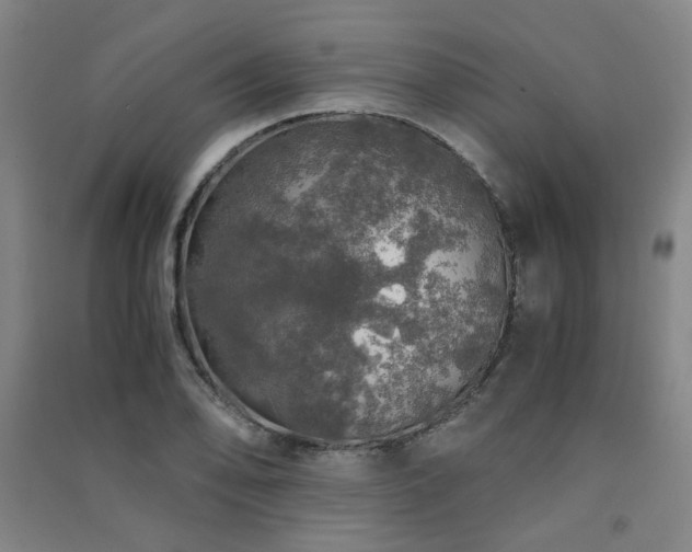 X0000091491078200708161434