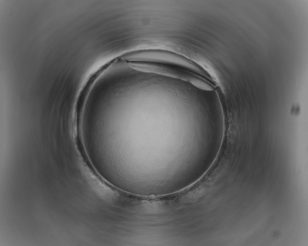 X0000091491080200708161434