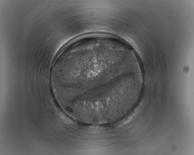 X0000091491081200708161434