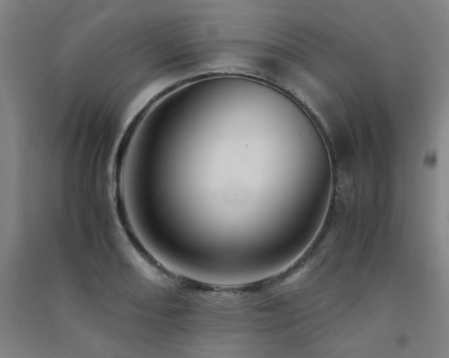X0000091491082200708161434