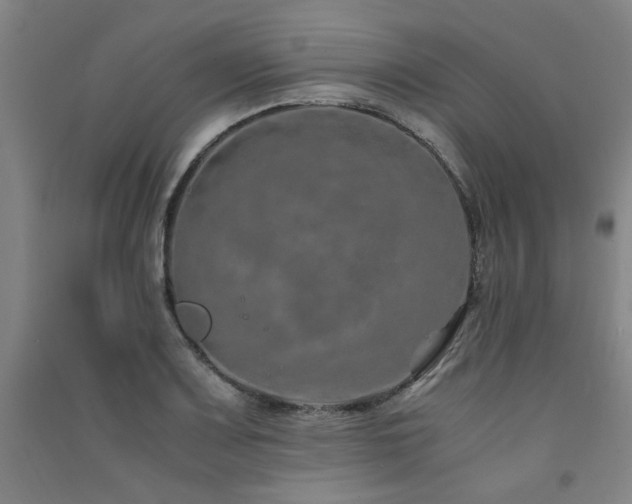 X0000091491083200708161434