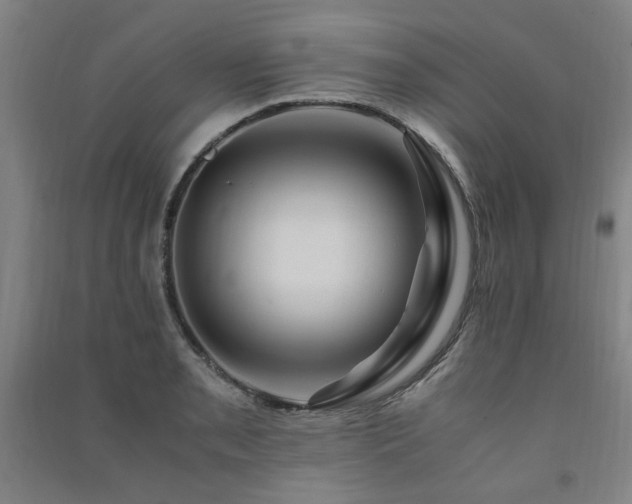 X0000091491085200708161434