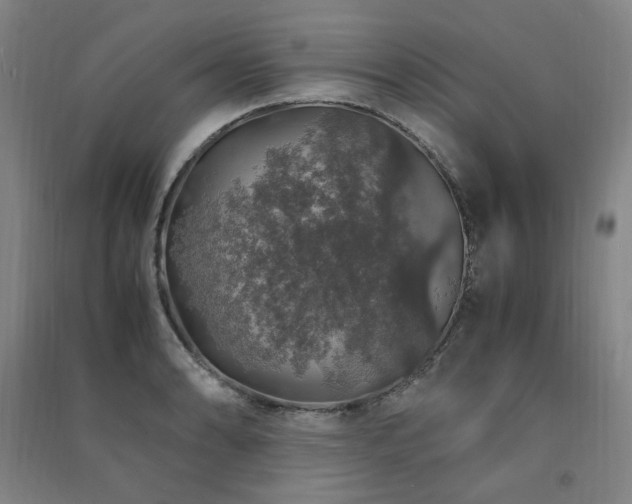 X0000091491086200708161434