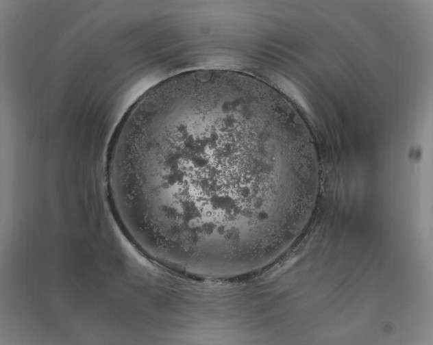 X0000091491087200708161434