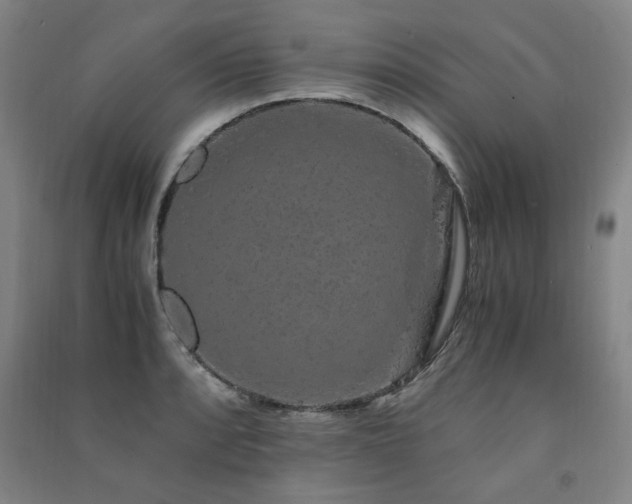 X0000091491088200708161434