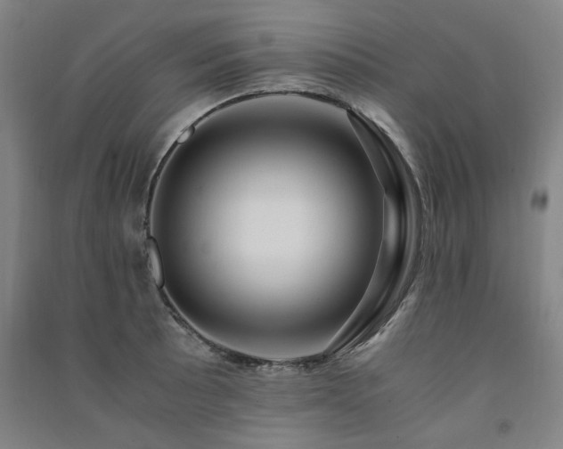 X0000091491089200708161434