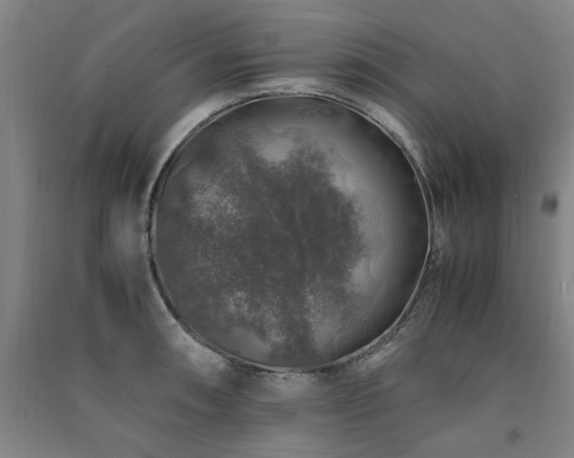 X0000091491090200708161434