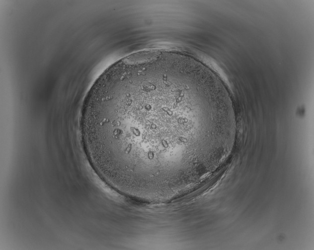 X0000091491091200708161434