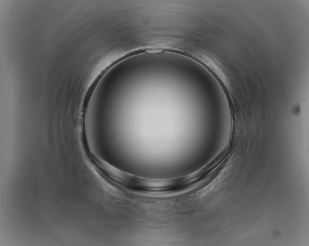 X0000091491093200708161434