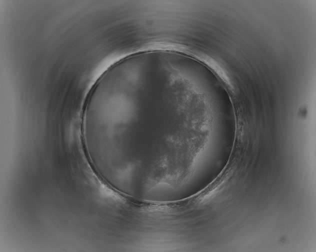 X0000091491094200708161434