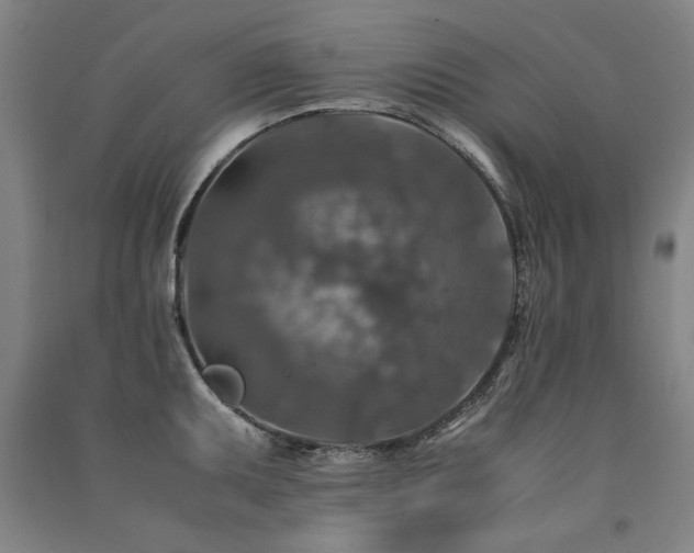 X0000091491095200708161433