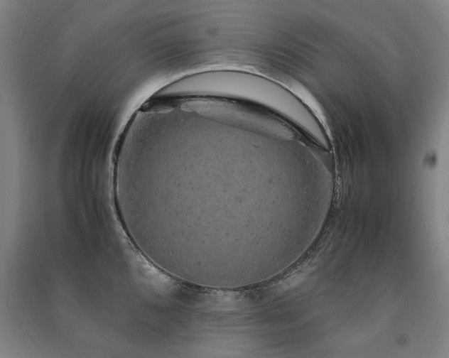 X0000091491096200708161433
