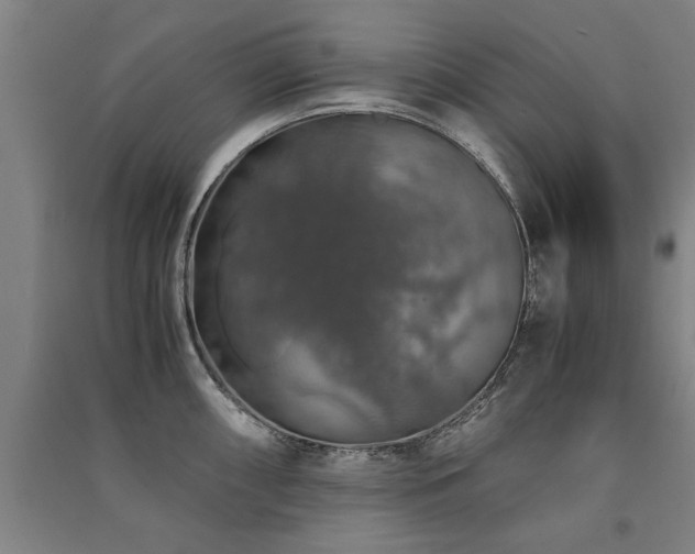 X0000091491098200708161433