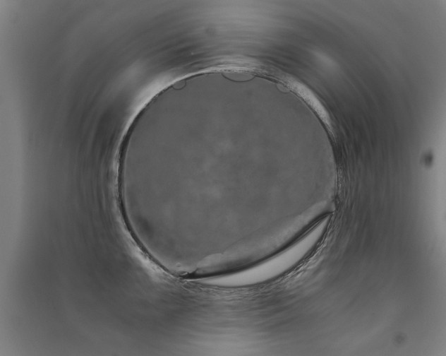 X0000091491099200708161433