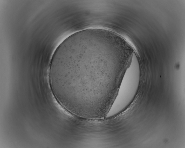 X0000091491100200708161433