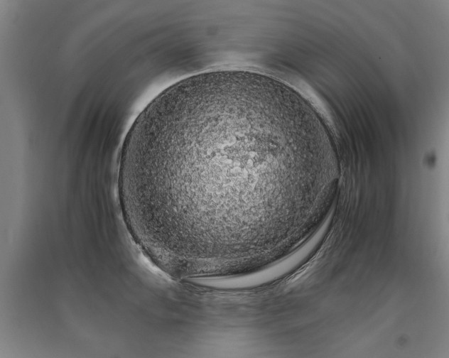 X0000091491102200708161433