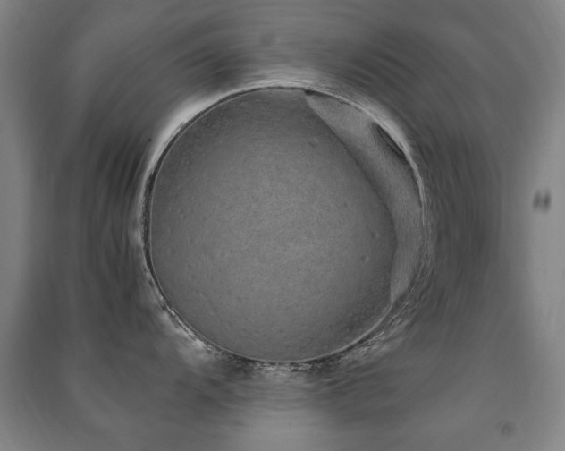 X0000091491104200708161433