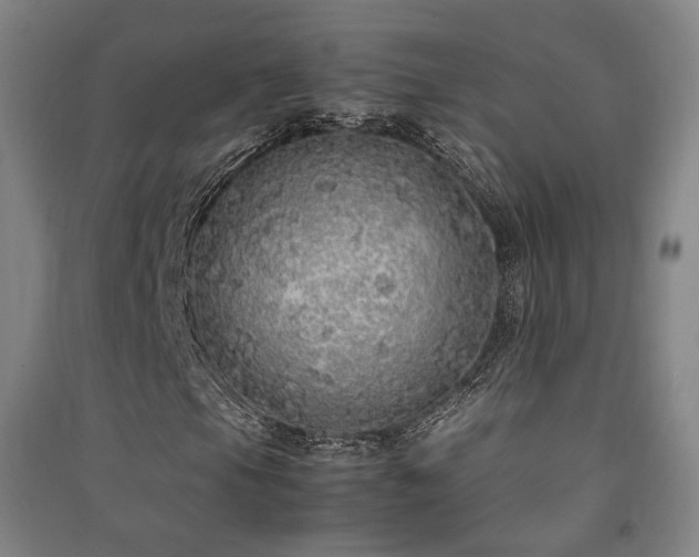 X0000091491105200708161433