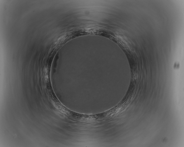 X0000091491106200708161433