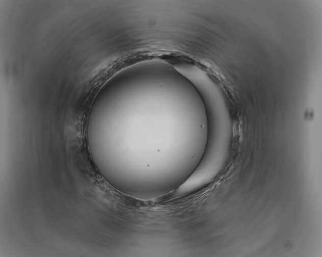 X0000091491110200708161433
