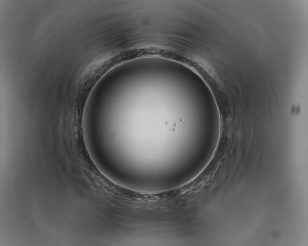 X0000091491111200708161433