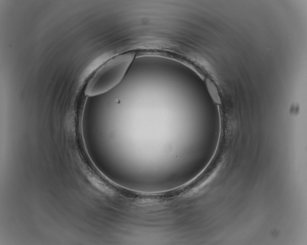 X0000091491114200708161433